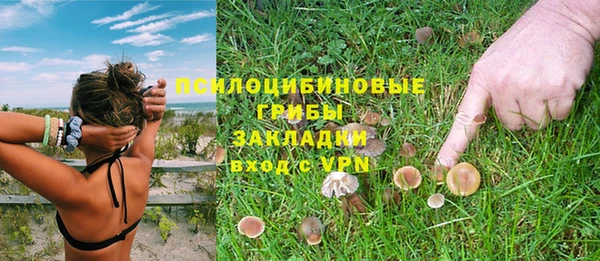 сатива Алексин