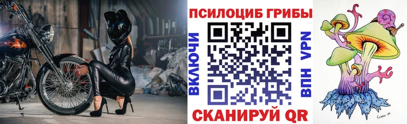 магазин  наркотиков  Кедровый  Псилоцибиновые грибы мухоморы 